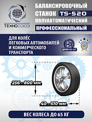 TS-520 Балансировочный станок 220V